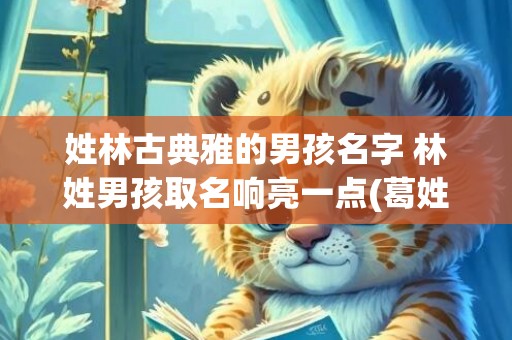 姓林古典雅的男孩名字 林姓男孩取名响亮一点(葛姓男孩取名古典)