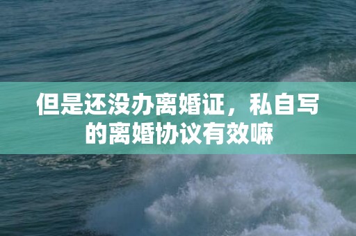 但是还没办离婚证，私自写的离婚协议有效嘛