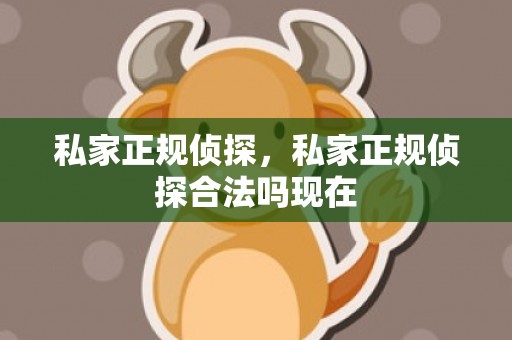 私家正规侦探，私家正规侦探合法吗现在