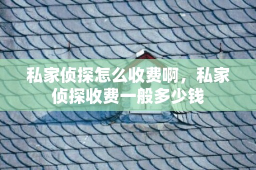 私家侦探怎么收费啊，私家侦探收费一般多少钱