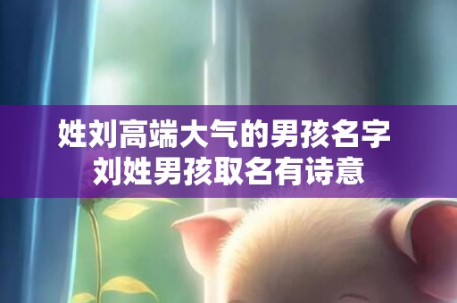 姓刘高端大气的男孩名字 刘姓男孩取名有诗意