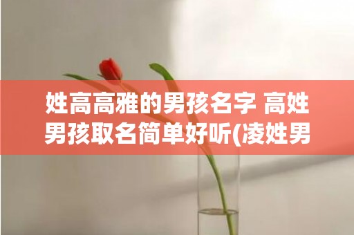 姓高高雅的男孩名字 高姓男孩取名简单好听(凌姓男孩高雅大气的名)