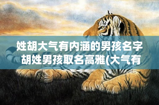 姓胡大气有内涵的男孩名字 胡姓男孩取名高雅(大气有内涵姓孟的头像女)