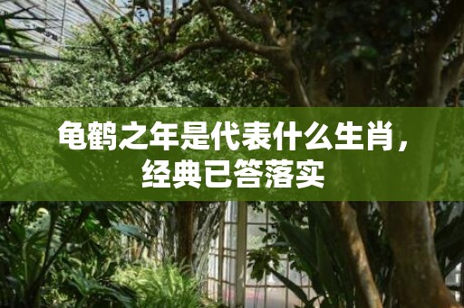 龟鹤之年是代表什么生肖，经典已答落实