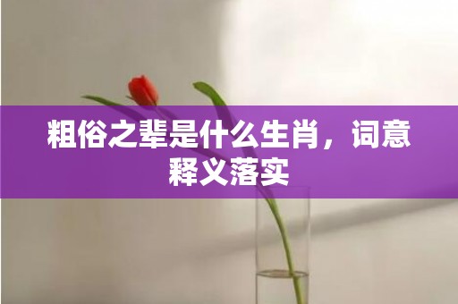 粗俗之辈是什么生肖，词意释义落实