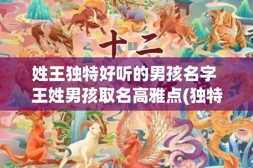 姓王独特好听的男孩名字 王姓男孩取名高雅点(独特好听姓王的四个字)