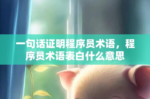 一句话证明程序员术语，程序员术语表白什么意思