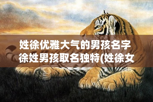 姓徐优雅大气的男孩名字 徐姓男孩取名独特(姓徐女孩名字优雅大气)