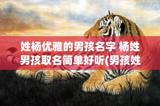 姓杨优雅的男孩名字 杨姓男孩取名简单好听(男孩姓令狐的优雅名字)