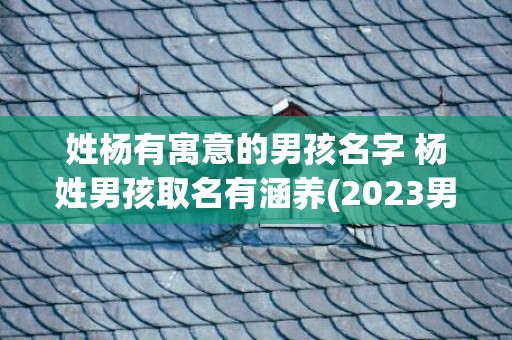 姓杨有寓意的男孩名字 杨姓男孩取名有涵养(2023男孩姓杨寓意好的名字)