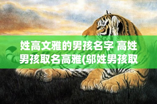 姓高文雅的男孩名字 高姓男孩取名高雅(邬姓男孩取什么名字文雅)