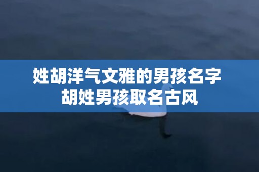 姓胡洋气文雅的男孩名字 胡姓男孩取名古风