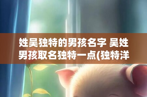 姓吴独特的男孩名字 吴姓男孩取名独特一点(独特洋气的男孩名)