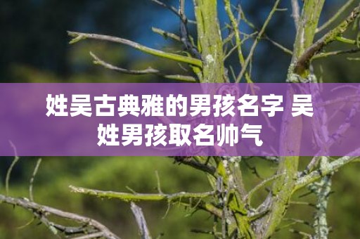 姓吴古典雅的男孩名字 吴姓男孩取名帅气