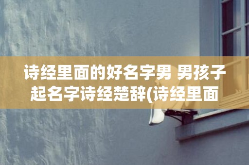 诗经里面的好名字男 男孩子起名字诗经楚辞(诗经里面的好名字大全)