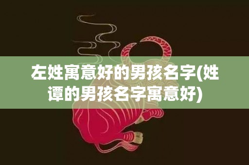 左姓寓意好的男孩名字(姓谭的男孩名字寓意好)