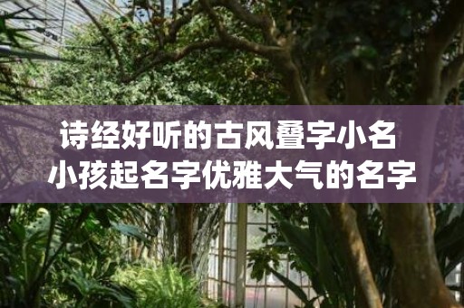 诗经好听的古风叠字小名 小孩起名字优雅大气的名字(诗经两字好听古风词语)