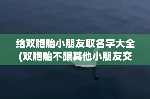 给双胞胎小朋友取名字大全(双胞胎不跟其他小朋友交流)