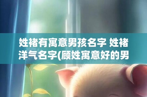 姓褚有寓意男孩名字 姓褚洋气名字(顾姓寓意好的男孩名字)