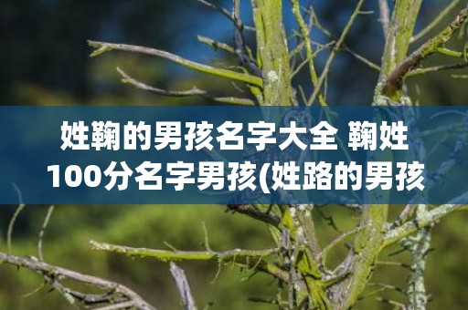 姓鞠的男孩名字大全 鞠姓100分名字男孩(姓路的男孩名字)