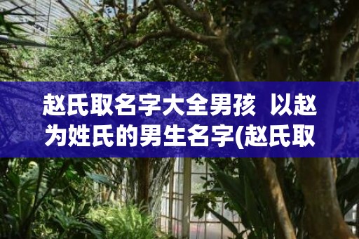 赵氏取名字大全男孩  以赵为姓氏的男生名字(赵氏取名字大全男孩2023年)