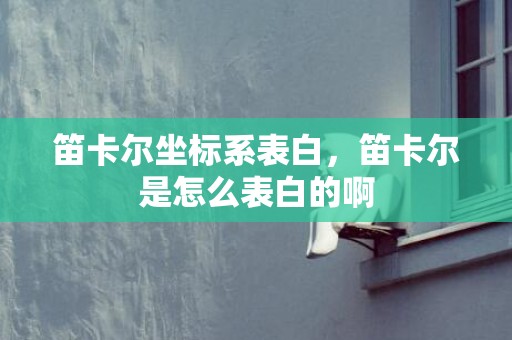 笛卡尔坐标系表白，笛卡尔是怎么表白的啊