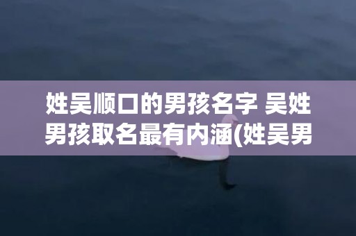 姓吴顺口的男孩名字 吴姓男孩取名最有内涵(姓吴男孩名字顺口好听)