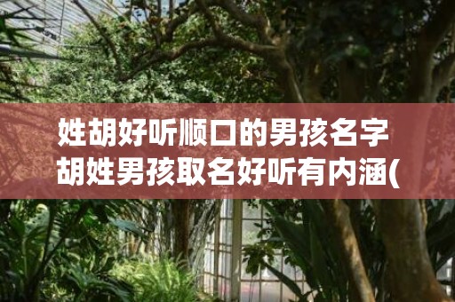 姓胡好听顺口的男孩名字 胡姓男孩取名好听有内涵(姓郑的顺口好听的名字)