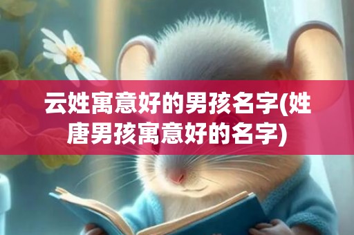 云姓寓意好的男孩名字(姓唐男孩寓意好的名字)