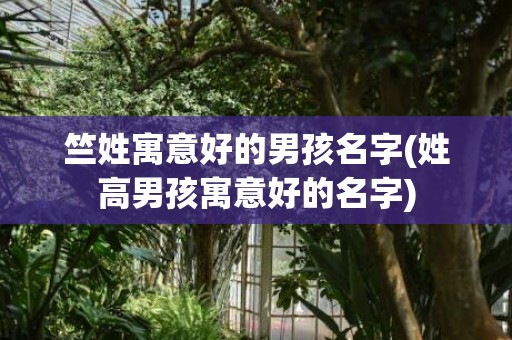 竺姓寓意好的男孩名字(姓高男孩寓意好的名字)