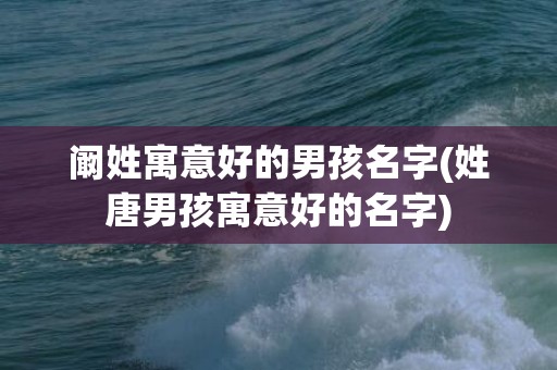 阚姓寓意好的男孩名字(姓唐男孩寓意好的名字)