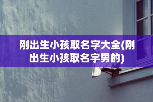 刚出生小孩取名字大全(刚出生小孩取名字男的)