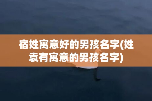 宿姓寓意好的男孩名字(姓袁有寓意的男孩名字)