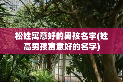 松姓寓意好的男孩名字(姓高男孩寓意好的名字)