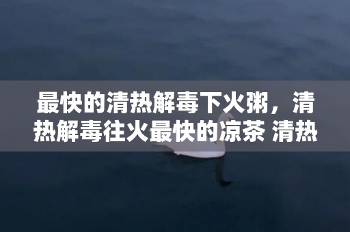 最快的清热解毒下火粥，清热解毒往火最快的凉茶 清热解毒往火最快的凉茶