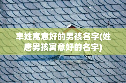 丰姓寓意好的男孩名字(姓唐男孩寓意好的名字)