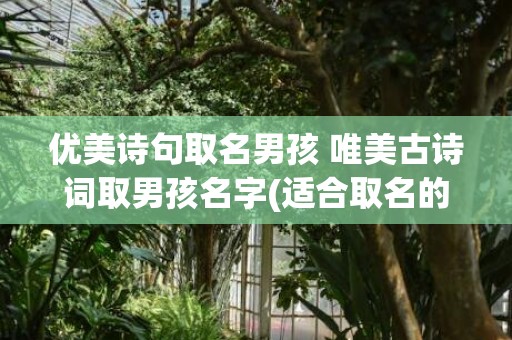 优美诗句取名男孩 唯美古诗词取男孩名字(适合取名的优美诗句)