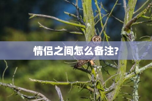 情侣之间怎么备注?