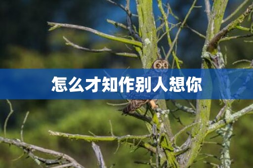 怎么才知作别人想你