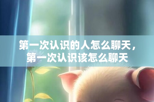 第一次认识的人怎么聊天，第一次认识该怎么聊天