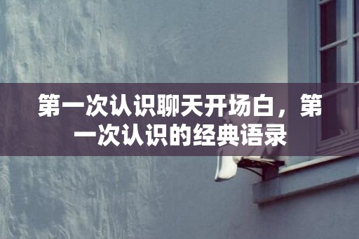 第一次认识聊天开场白，第一次认识的经典语录