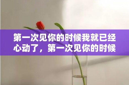 第一次见你的时候我就已经心动了，第一次见你的时候句子