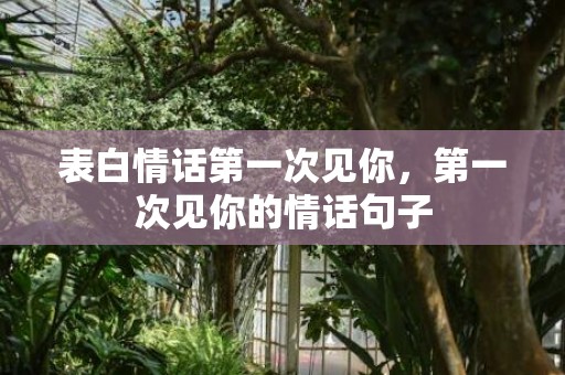 表白情话第一次见你，第一次见你的情话句子