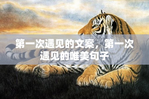 第一次遇见的文案，第一次遇见的唯美句子