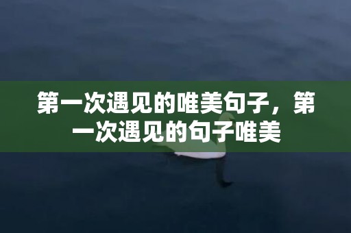 第一次遇见的唯美句子，第一次遇见的句子唯美
