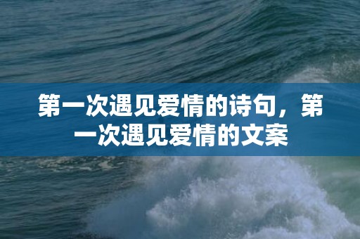 第一次遇见爱情的诗句，第一次遇见爱情的文案