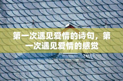 第一次遇见爱情的诗句，第一次遇见爱情的感觉