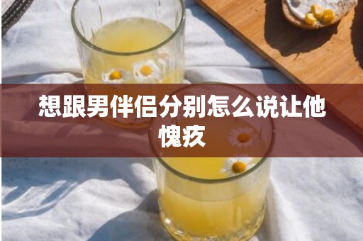想跟男伴侣分别怎么说让他愧疚