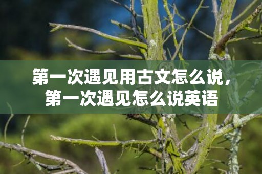 第一次遇见用古文怎么说，第一次遇见怎么说英语
