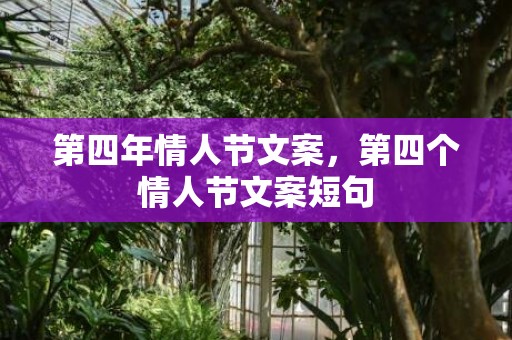 第四年情人节文案，第四个情人节文案短句